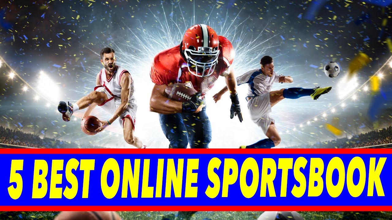 Best Online Sportsbook ⛹🏻♂️Top 5 Online Sportsbooks in 2022 🥊 Win Big Sports